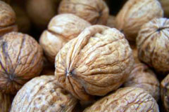 Nueces